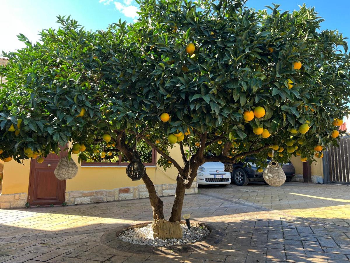 B&B Templi E Arte Villaggio Mose  Ngoại thất bức ảnh