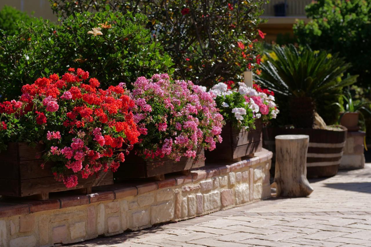B&B Templi E Arte Villaggio Mose  Ngoại thất bức ảnh