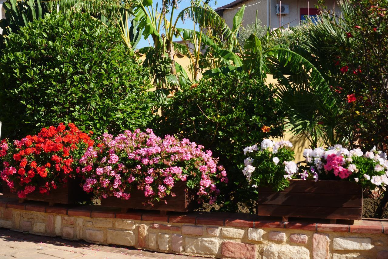 B&B Templi E Arte Villaggio Mose  Ngoại thất bức ảnh
